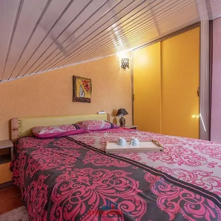 Hotel Venus Comfortable 4*